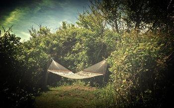 Sea Breeze Inn นิวชอร์แฮม ภายนอก รูปภาพ