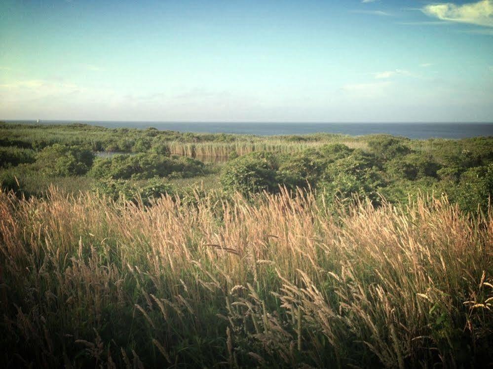 Sea Breeze Inn นิวชอร์แฮม ภายนอก รูปภาพ