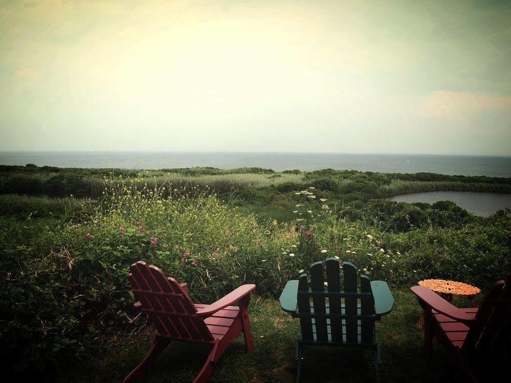 Sea Breeze Inn นิวชอร์แฮม ภายนอก รูปภาพ
